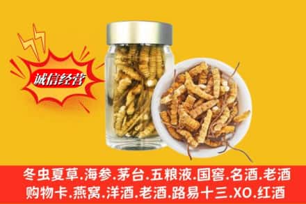 屏边县回收散虫草