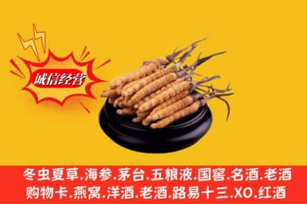 屏边县求购回收虫草多少钱每克